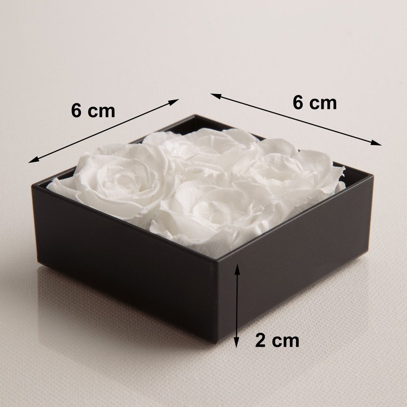 Rosemarie Schulz Rose Box 4 Small Eternal Roses Preserved Gift