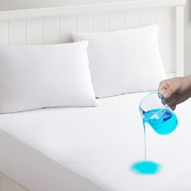 Clorox Mattress Protector | Waterproof and Bed Bug Proof Zippered Mattress Protector | Absorbent Six-Sided Mattress Cover White (Full)