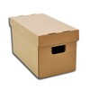 Protected Single Record Cardboard Box