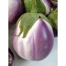 Rosa Bianca Eggplant Seeds, 100+ Premium Heirloom Seeds, Fantastic Addition to Home Garden!, (Isla's Garden Seeds), Non GMO, 90% Germination Rates, Highest Quality, 100% Pure