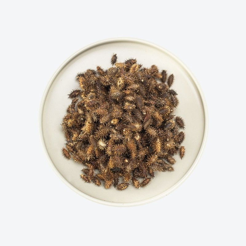 Two Son Herb 300g dokkomari / 도꼬마리 300g