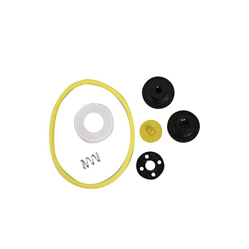 Chapin International 987038 6-4602 XP Acid Sprayer Repair Kit for