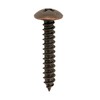 Daido Hunt Bronze Tapping Screw, Truss Head (Diameter: d) 0.1