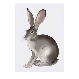 'Desert Hare' Temporary Tattoo - Water Resistant, Skin-Safe, Non-Toxic Transfer (TO00080665)