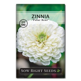 Sow Right Seeds - Zinnia Polar Bear Flower Seeds for Planting - Beautiful Flowers to Plant in Your Home Garden - Non-GMO Heirloom Packet - White Blooms Attract Pollinators - Cut and Come Again (1)