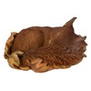 Vivid Arts Sleeping Baby Red Squirrel in Leaf | Resin