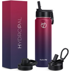 25oz Insulated Water Bottles with 2 Leak Proof Lids(Spout Lid and Straw Lid), Wide Mouth Sport Water Bottle with Straw, Stainless Steel Powder-Coated Water Flask, Double Walled Vacuum Thermos