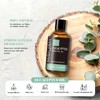 MAYJAM Essential Oil Eucalyptus Aroma Oil Natural 100% Pure Oil