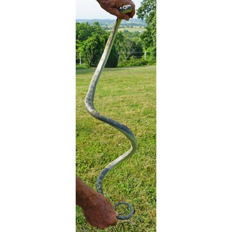 5' Realistic Chain King Snake Replica - Rubber