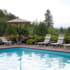 LukLoy 2" Wide 20ft Long Vinyl Straps for Patio Chairs Repair DIY + 20 Rivets, Replacement Straps for Lawn Chairs Patio Garden Balcony Outdoor Lounge Dining Furniture Repair, Grey