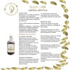 Limpieza De Hígado, Clean Liver