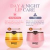 DMSKY 12 PCS Bee Lip Balm Honey Pot, Nourish &
