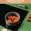 Tefal Ingenio Renew Cooking Pot 20 cm Non-Stick Recycled Healthy