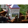 RentACoop 5 Gallon Chicken BPA-Free Plastic Bucket Waterer Set with