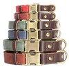 Didog Soft Padded Leather Collar for Medium Dogs Classic Dog
