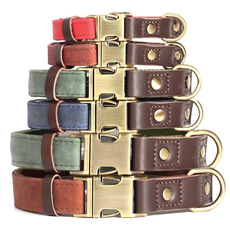 Didog Soft Padded Leather Collar for Medium Dogs Classic Dog