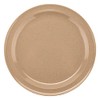 G.E.T. DP-509-S Sandstone 9" Round Plate, Break Resistant Dishwasher Safe