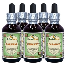 Caraway (Carum Carvi) Glycerite, Organic Dried Fruits Alcohol-Free Liquid Extract (Brand Name: HerbalTerra, Proudly Made in USA) 5x2 fl.oz (5x60 ml)