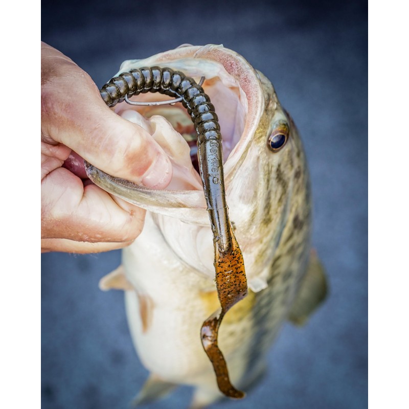 Berkley PowerBait® Power Worm Fishing Bait, Blue Fleck, 10in |