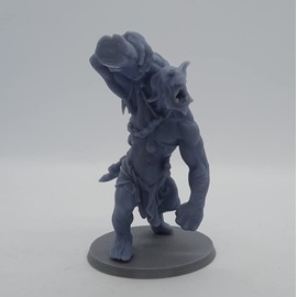 HERO Creations - Troll Warband for Dungeon and Dragons - Design by Manuel Boria - Pathfinder - Roleplaying Game-Tabletop -wargame (Gray) (Troll Wall Breaker)