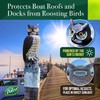 Dalen SOL-R Action Large Solar Fake Owl Decoy to Scare
