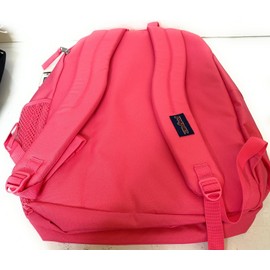 JanSport Girls Big Student 17.5" Zip Backpack Bag, Posh Pink, J80A47JKEX2
