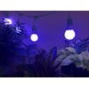 Miracle LED Craft LED Midnight Iris Blue Spectrum Multi-Plant Grow