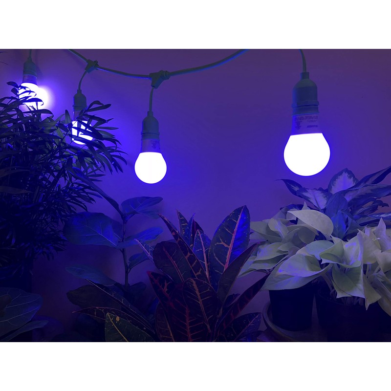 Miracle LED Craft LED Midnight Iris Blue Spectrum Multi-Plant Grow