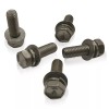 Overland Metric FJ40 Tubular Tire Carrier Stainless 316 Screw Bolt