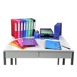 Exacompta - Ref. 55823SE - 1 Maxi capacity folder with elastic bands 3 flaps Iderama glossy card stock A4 425 gm² Anise green