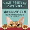 Natural Balance Ultra Protein Dry Cat Food, Real Chicken &