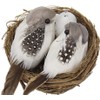 GOUDOGEDC 2 Set Simulation Bird Nest with Bird and Eggs