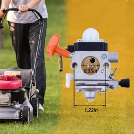 Haishine Carburettor with Spark Plug C1Q-S174 for STIHL FS90 FS110 HT101 FS130 FS100 FS110R KM110R KM130 HL100 HT100 FS100RX FS130R FS87 FS100R KM90 KM90 KM M90R KKKM100 KM110 KM130R Replacement for