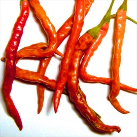 Wayland Chiles De Arbol Chile Seeds