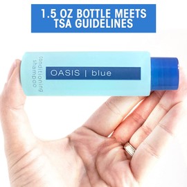 High-End Mini Hotel 2-in-1 Shampoo & Conditioner 10 Pack. Leak-Free, Travel-Size Value Set. Light & Compact for Extended Traveling, Hiking, Camping & Backpacking. Thin, Water-Tight Bottles.