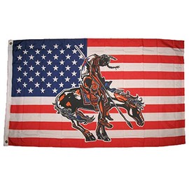 Home Comforts 3x5 USA End of The Trail Flag Native American New F128