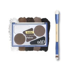 odiD OdiD Artist Hair Concealer Palette Dual Brush Set / odiD 오디드 아티스트 헤어 컨실러 팔레트 듀얼 브러시 세트