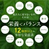 わくわく園 みどりの桑茶 ティーバック (60包) 桑の葉茶 国産 無農薬 粉末 パウダー 桑