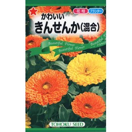 Tohok Co., Ltd. Kawaii Kinsenka (mixed) 04261