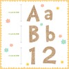 Tenare 134 Pieces 5 Inch Bulletin Board Letters Alphabet Numbers
