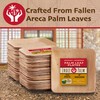 Compostable Palm Leaf Plates - 8 Inch Square [100-Pack] Microwave
