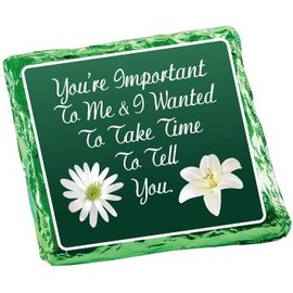 Thinking of You - Chocolate Covered Graham Crackers - 12 piece