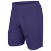 CHAMPRO Boys' Dynamic Tricot Mesh Shorts, Purple, X-Large
