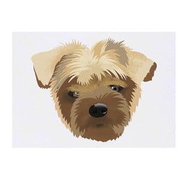 'Yorkshire Terrier' Temporary Tattoo - Water Resistant, Skin-Safe, Non-Toxic Transfer (TO00083973)