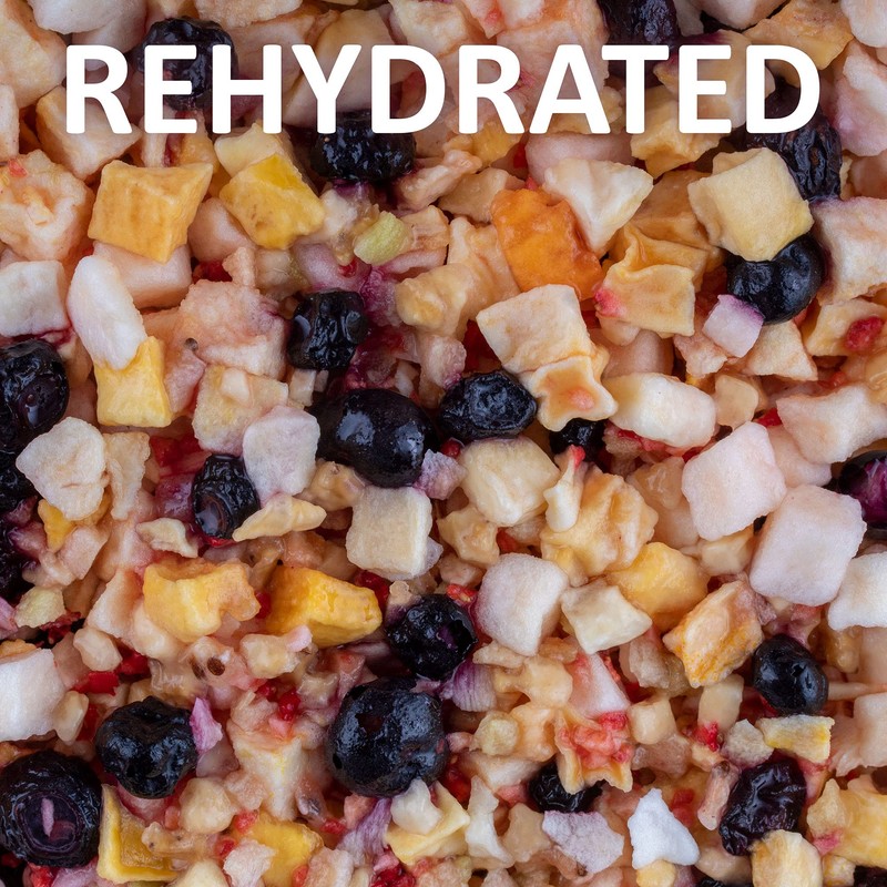 Healthy Herp Fruit Mix Instant Meal