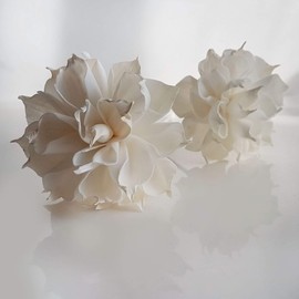 10 Dahlia 6 cm Sola Flower with Reed Diffuser for Home Fragrance by Plawanature