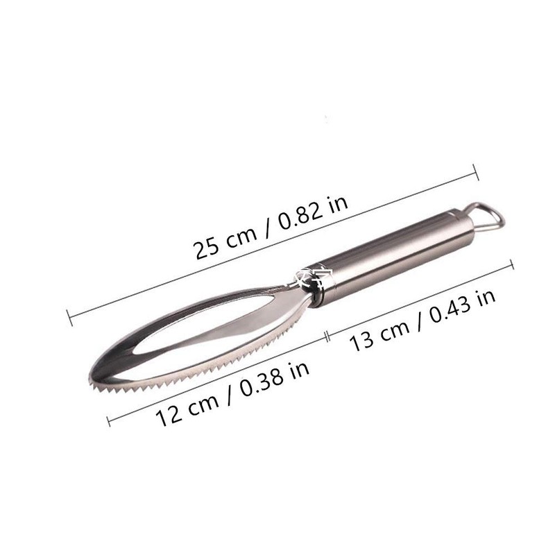 Fish Scale Remover，homeey 304 Stainless Steel Fish Scale Scraper, Ergonomic