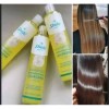 2 Shampoo Extra Hidratante Colágeno Reparador Sheló Nabel