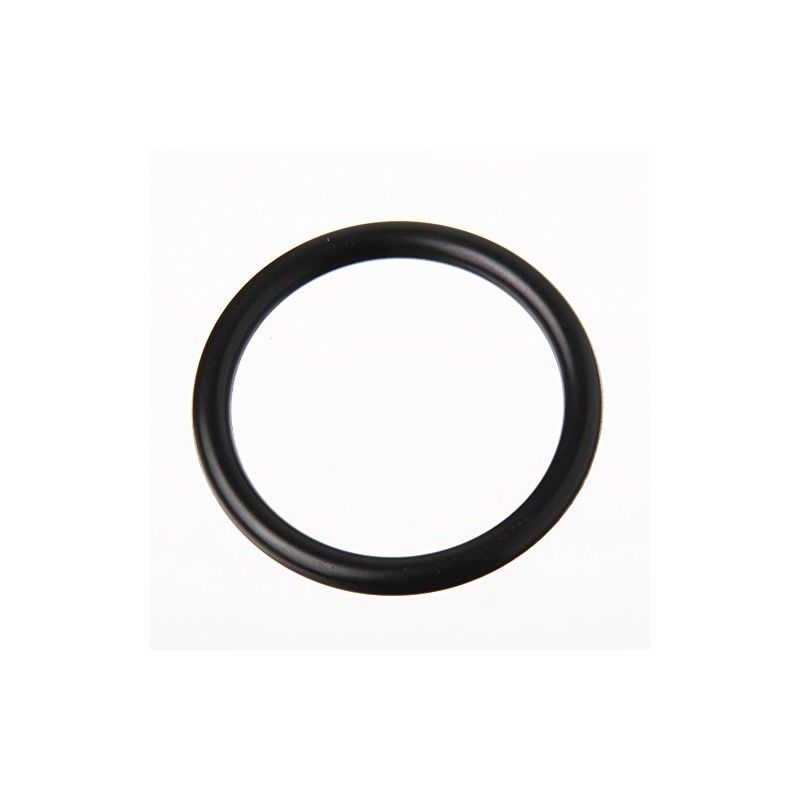 TOTO O-Ring TH91309E