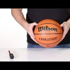 Wilson Pumps for Basketball ,Mehrfarbig (Blue/Black)